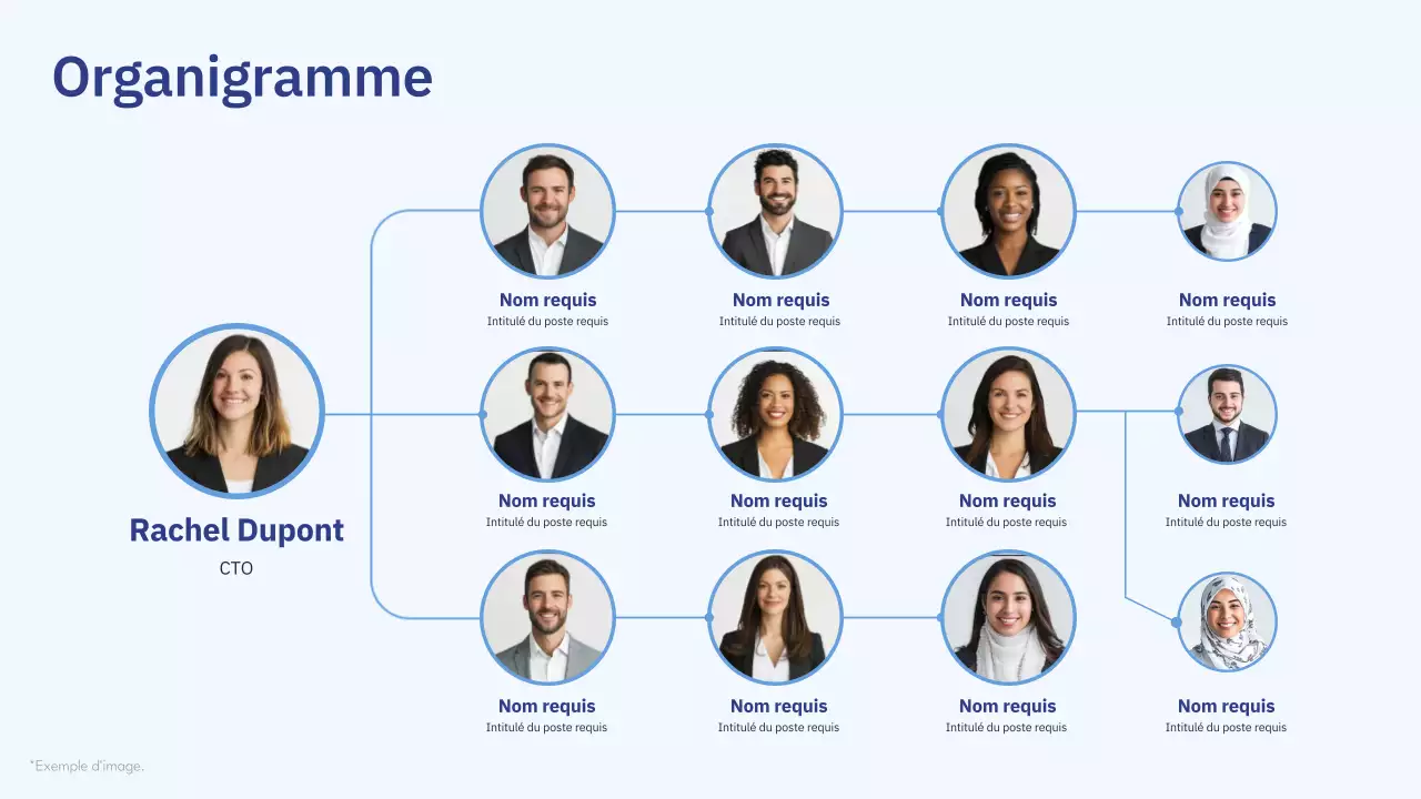 organigramme professionnel bleu