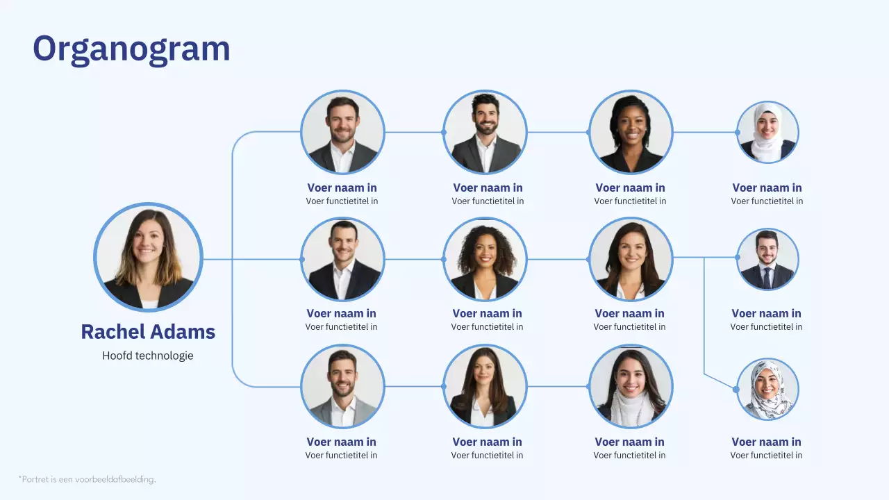 blauw professioneel organogram layout