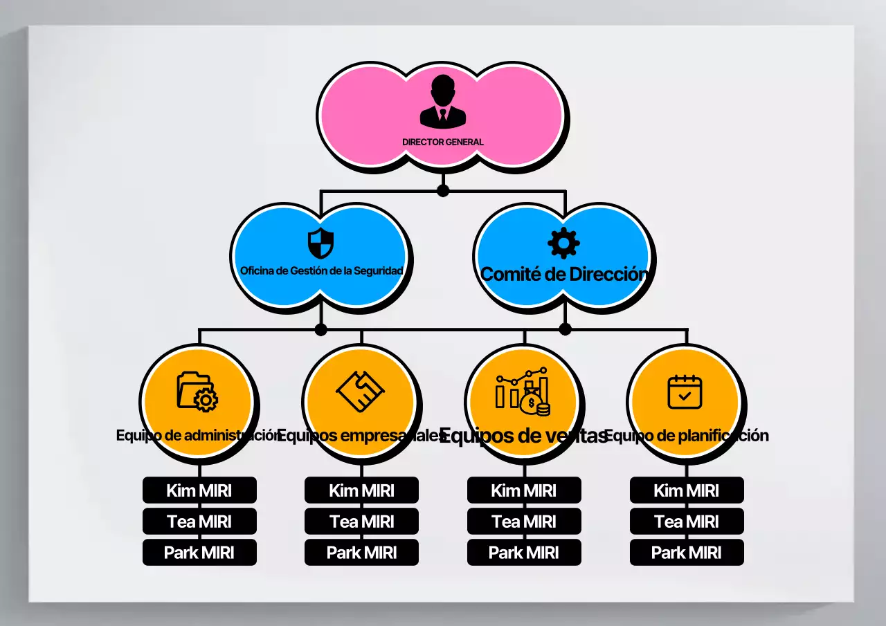 Explicación del organigrama de Pink Tidy