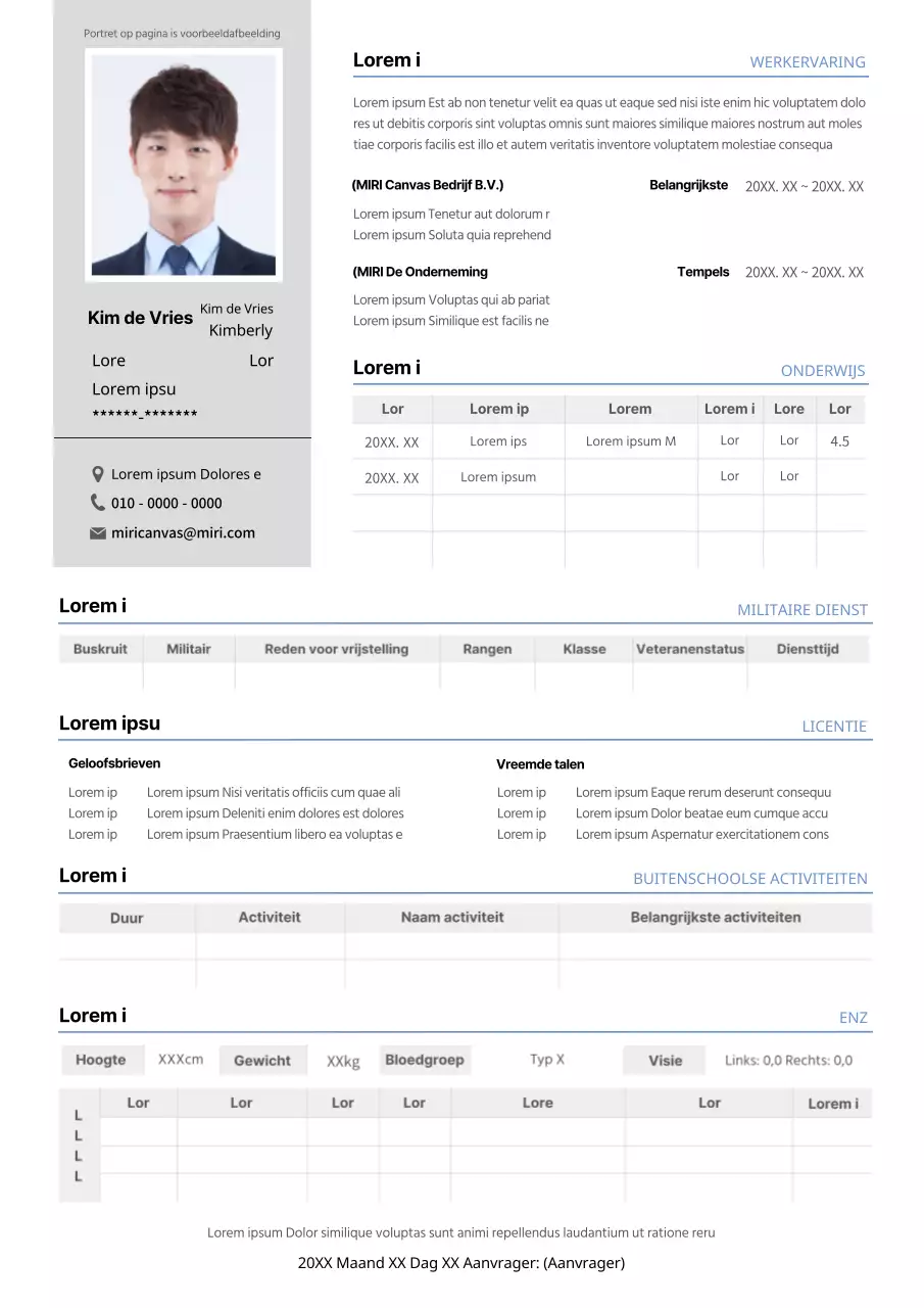 Basis grijs en blauw gedetailleerd cv