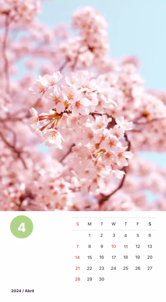 Fotografía de paisajes cálidos en colores pastel