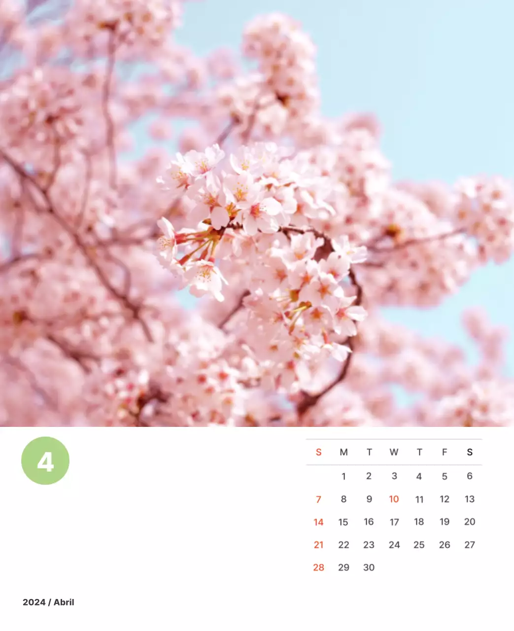 Fotografía de paisajes cálidos en colores pastel