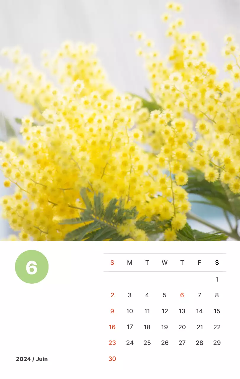 Photographie de paysages chaleureux aux couleurs pastel