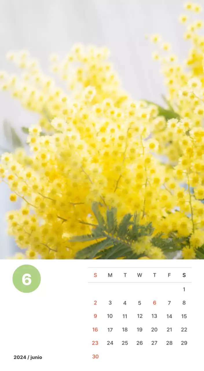 Fotografía de paisajes cálidos en colores pastel