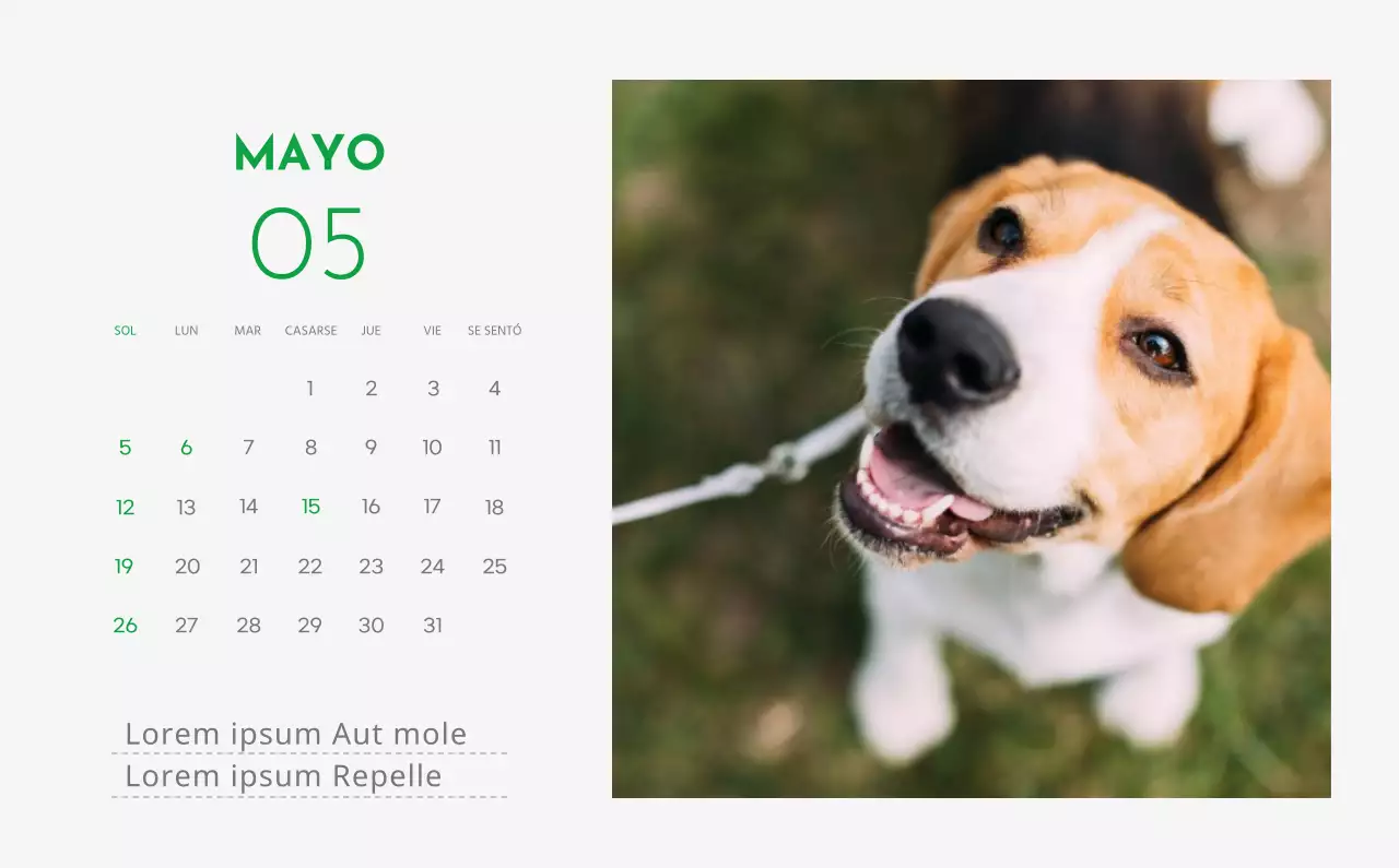 Un calendario con la imagen de un cachorro y un bonito mensaje en tonos verdes.
