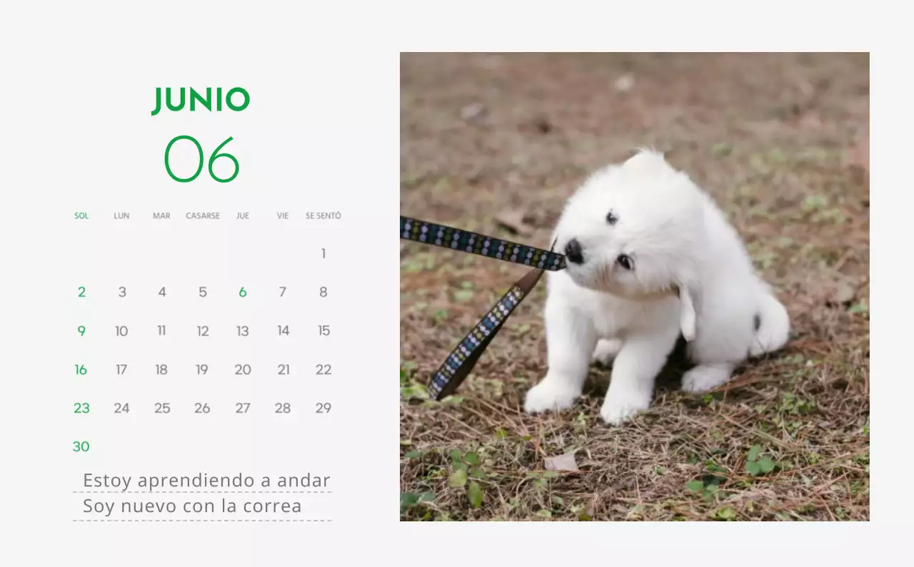 Un calendario con la imagen de un cachorro y un bonito mensaje en tonos verdes.