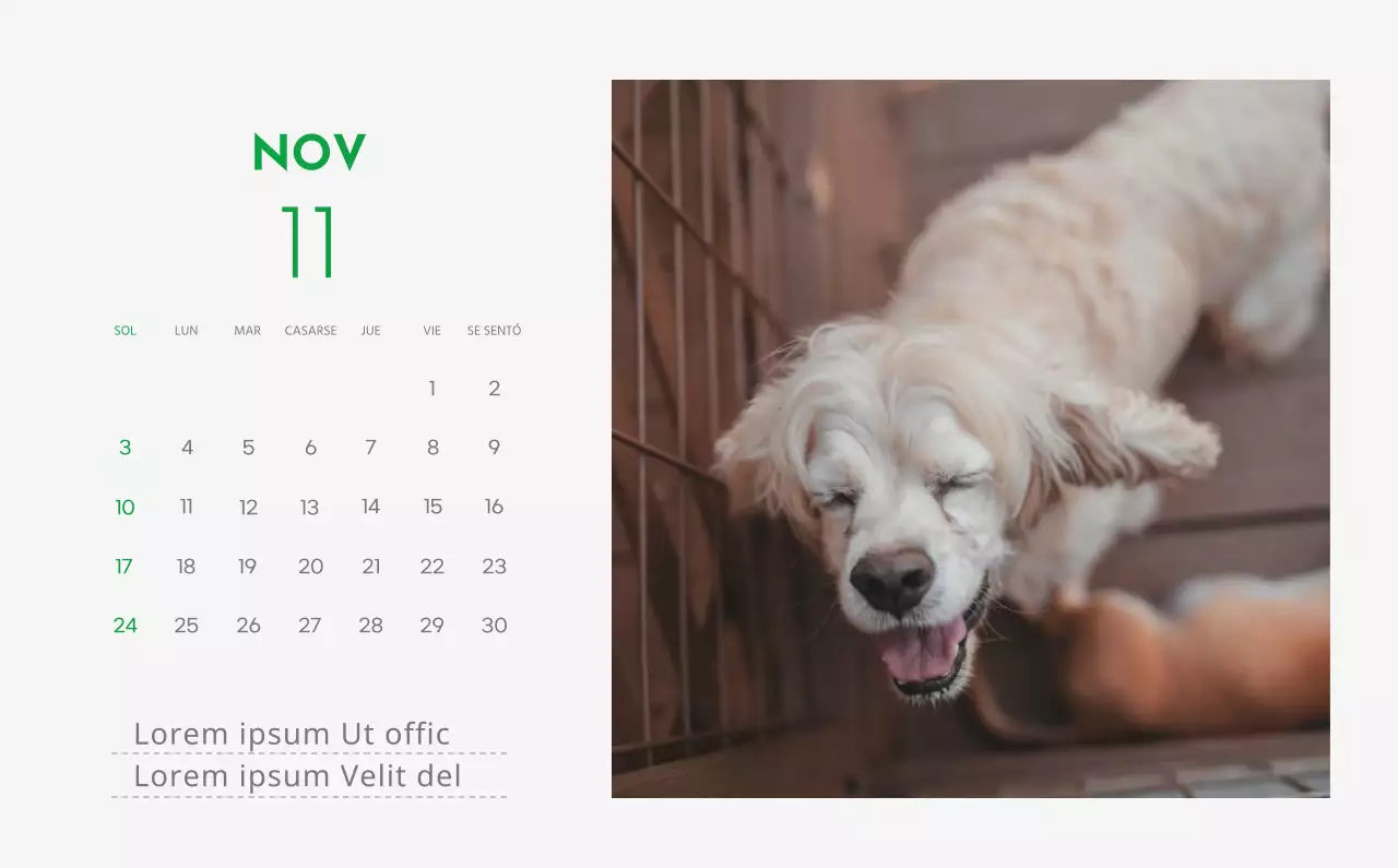 Un calendario con la imagen de un cachorro y un bonito mensaje en tonos verdes.