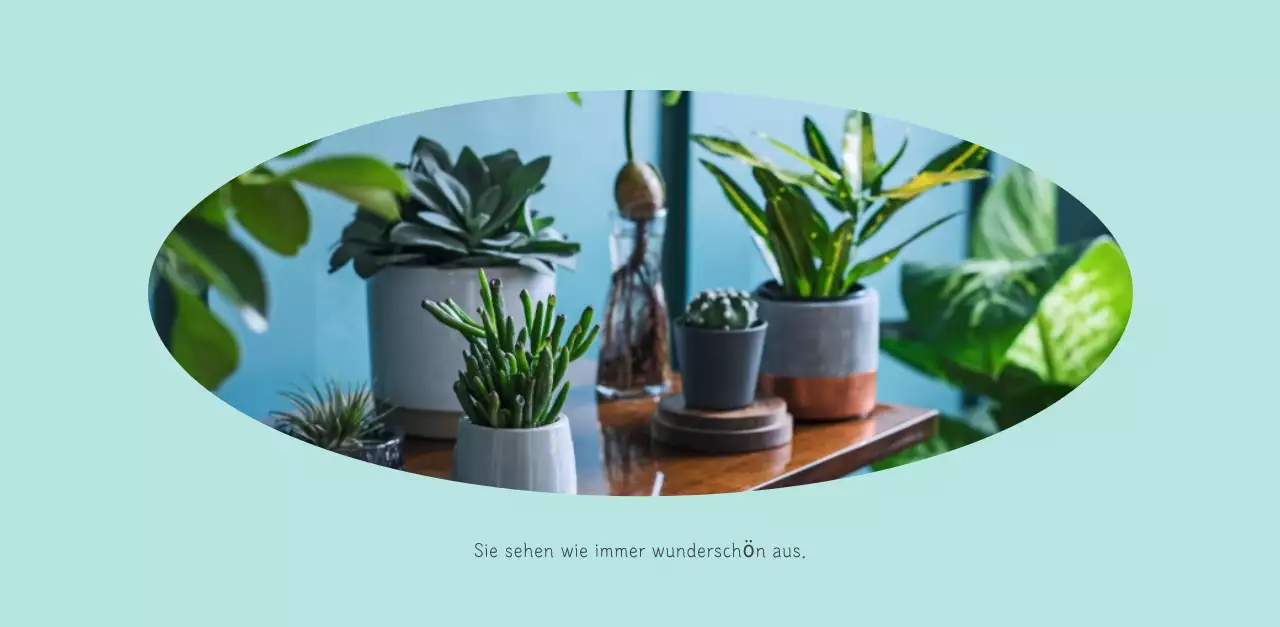 Weißer sauberer botanischer Naturkalender