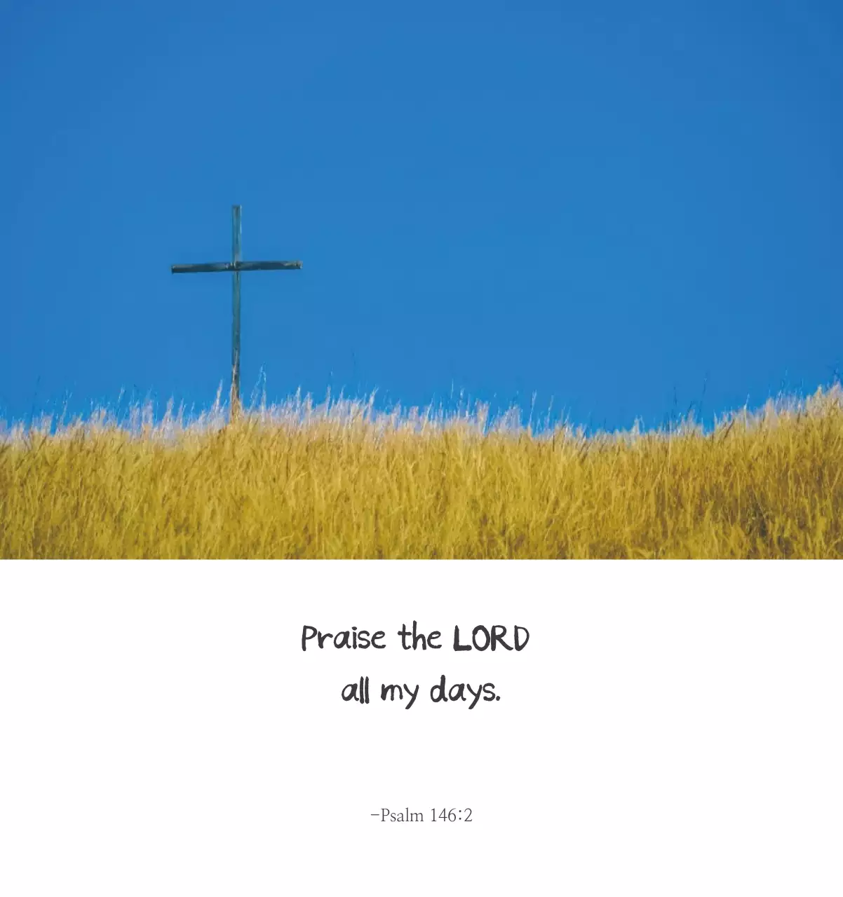 Promote a simple calligraphy Bible Church