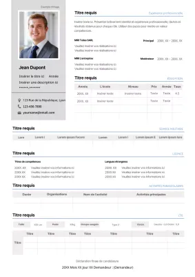 Curriculum vitae détaillé de base gris et bleu
