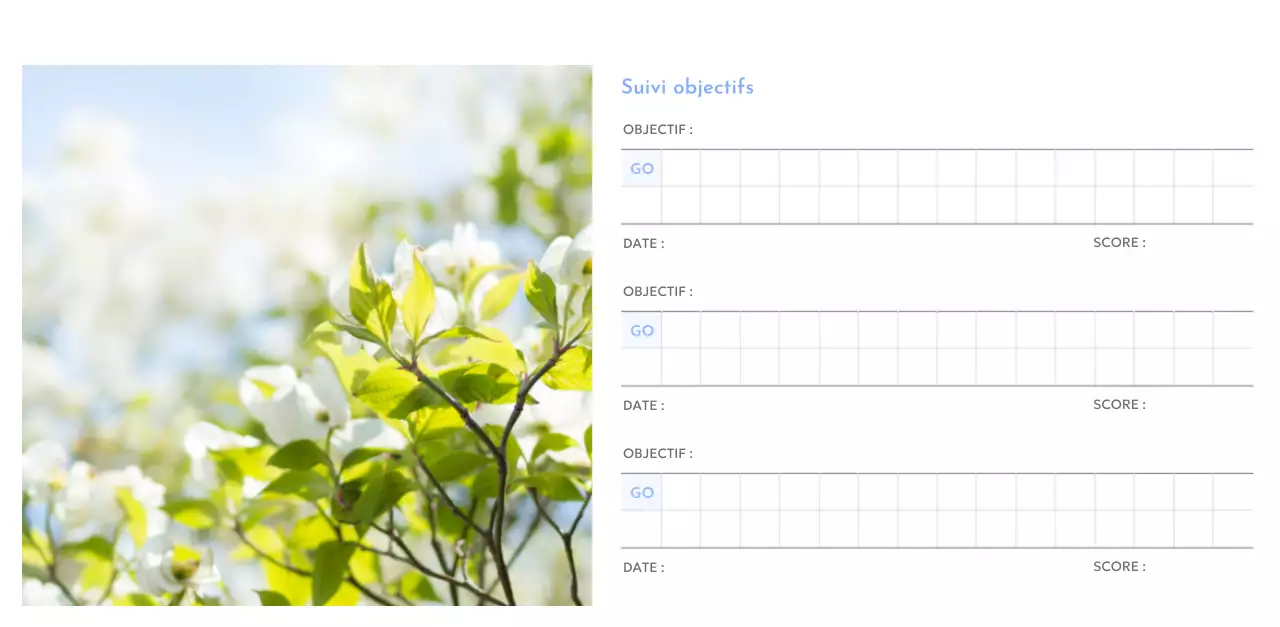 Calendrier photo de suivi des objectifs avec une touche de bleu
