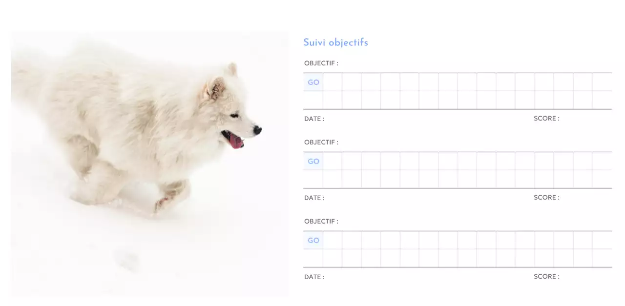 Calendrier photo de suivi des objectifs avec une touche de bleu