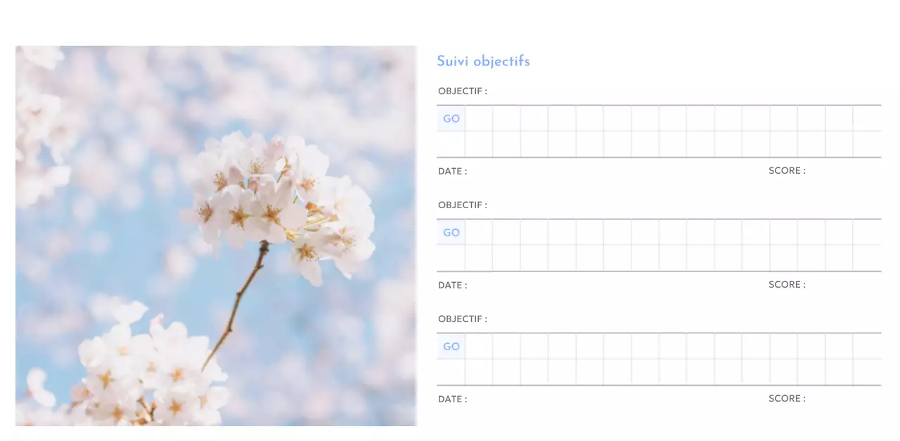 Calendrier photo de suivi des objectifs avec une touche de bleu