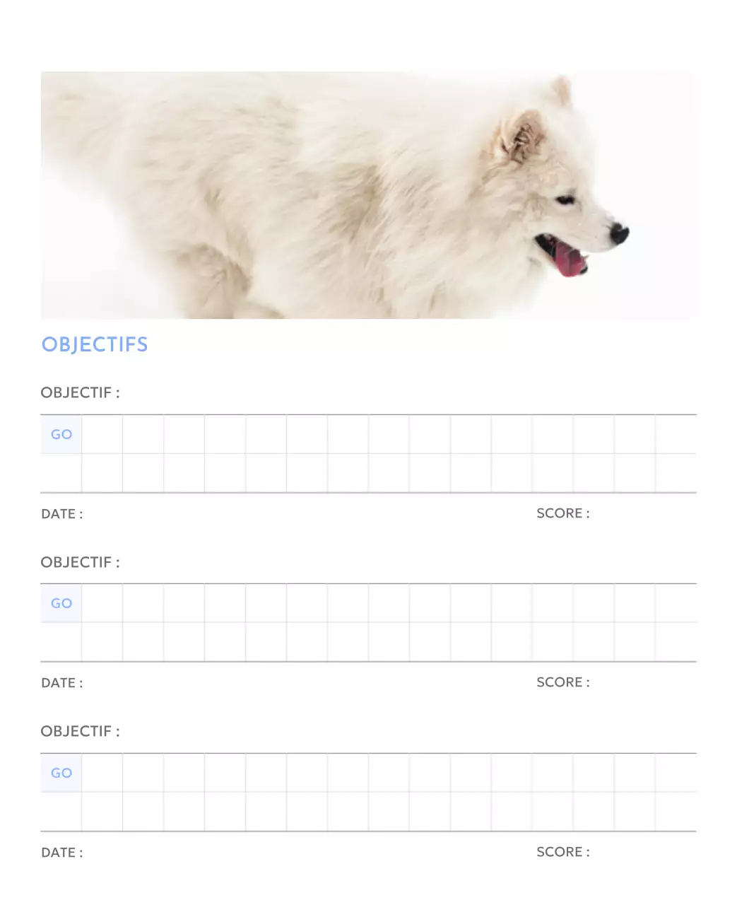 Calendrier photo de suivi des objectifs avec une touche de bleu