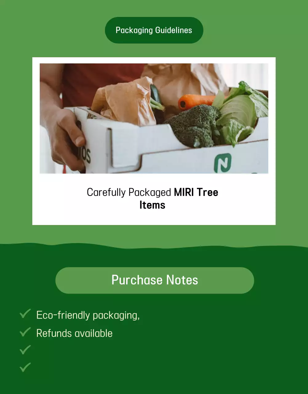 Cartaz de promoção de produtos rústicos verdes