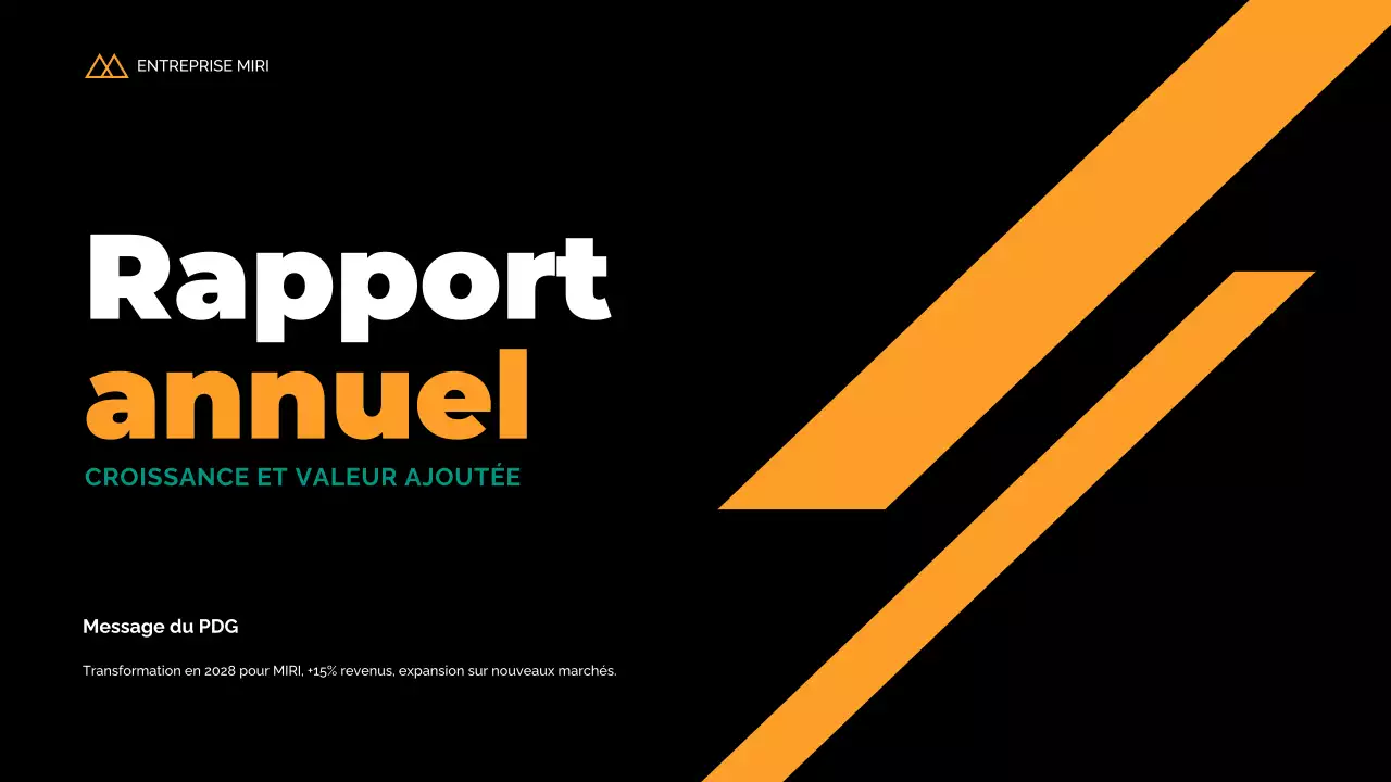 rapport d'activité moderne noir