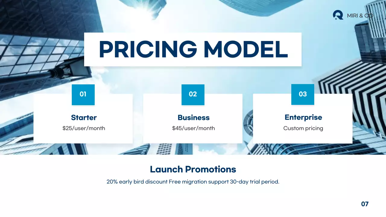 Blue Professional Business Plan Presentation