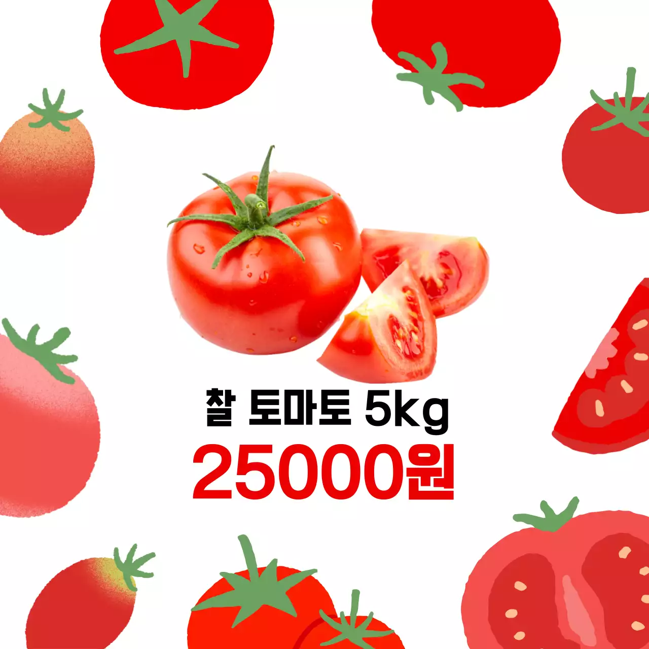 심플한 토마토 광고 피드