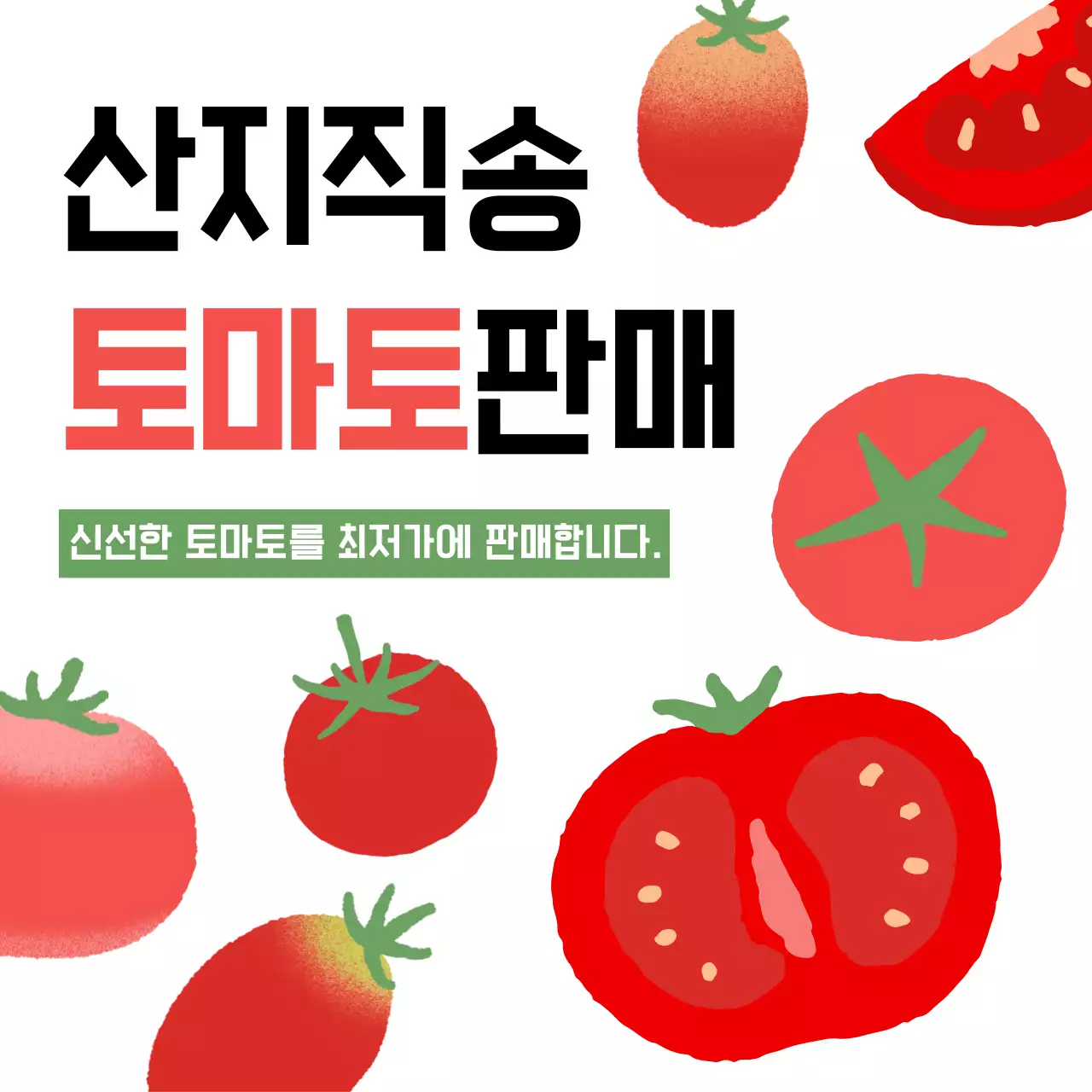 심플한 토마토 광고 피드