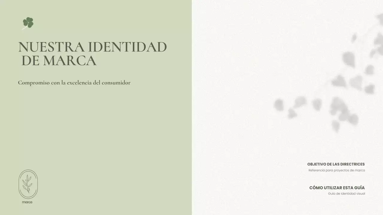 sage minimalist brand guideline
