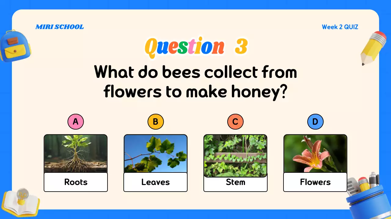 Blue Playful Quiz Announcement Presentation