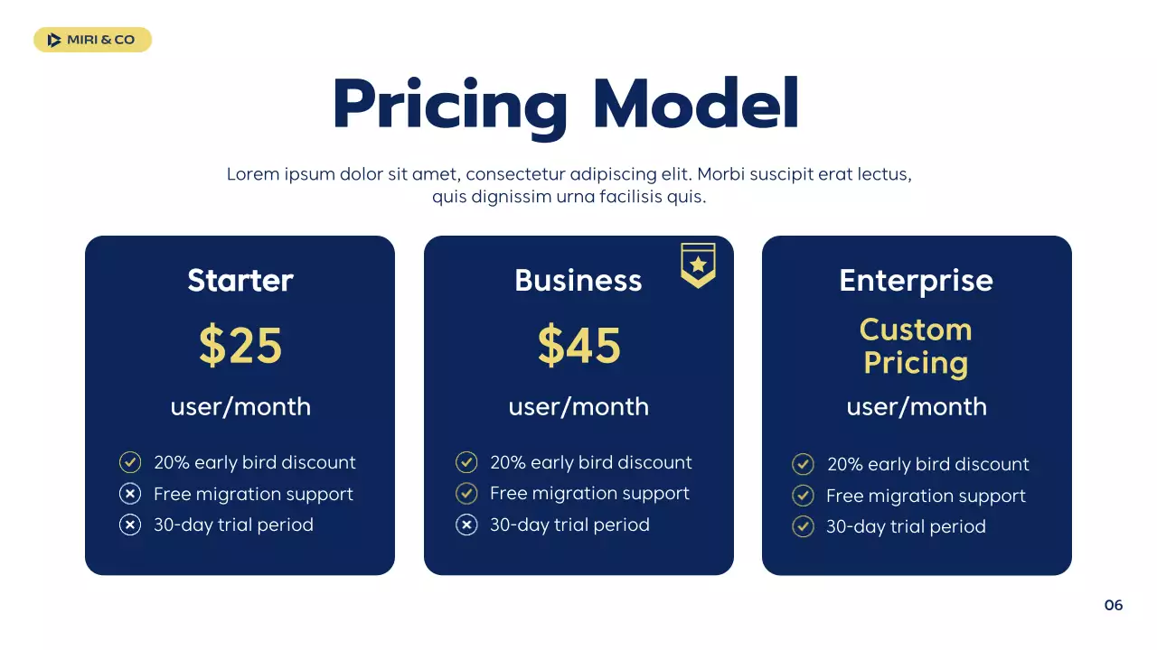 Navy Professional Business Plan Presentation