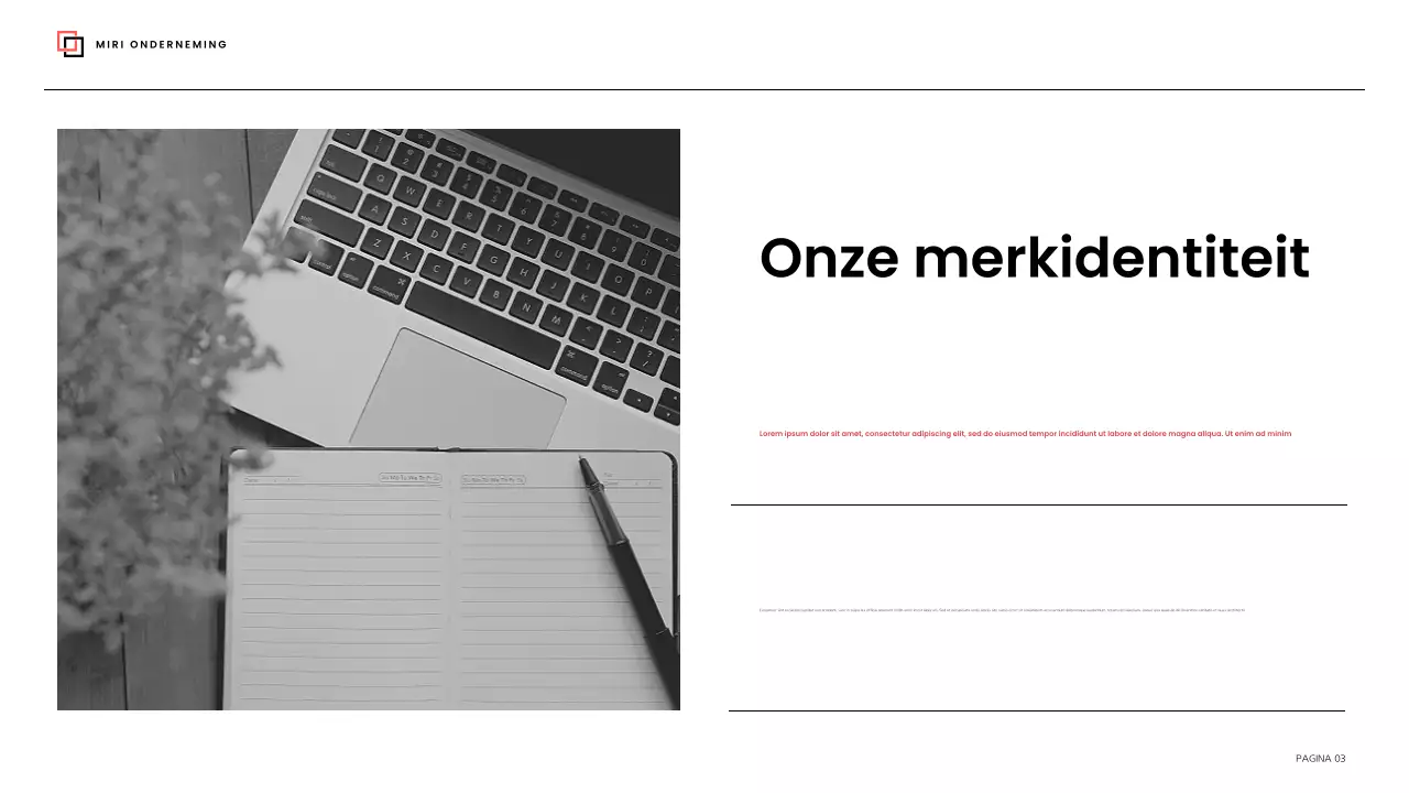 richtlijn zwart modern merk