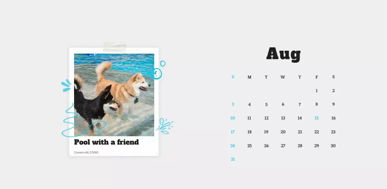 White neat pet photo calendar