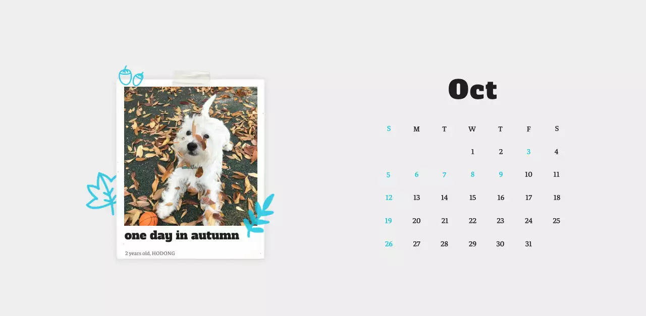 White neat pet photo calendar