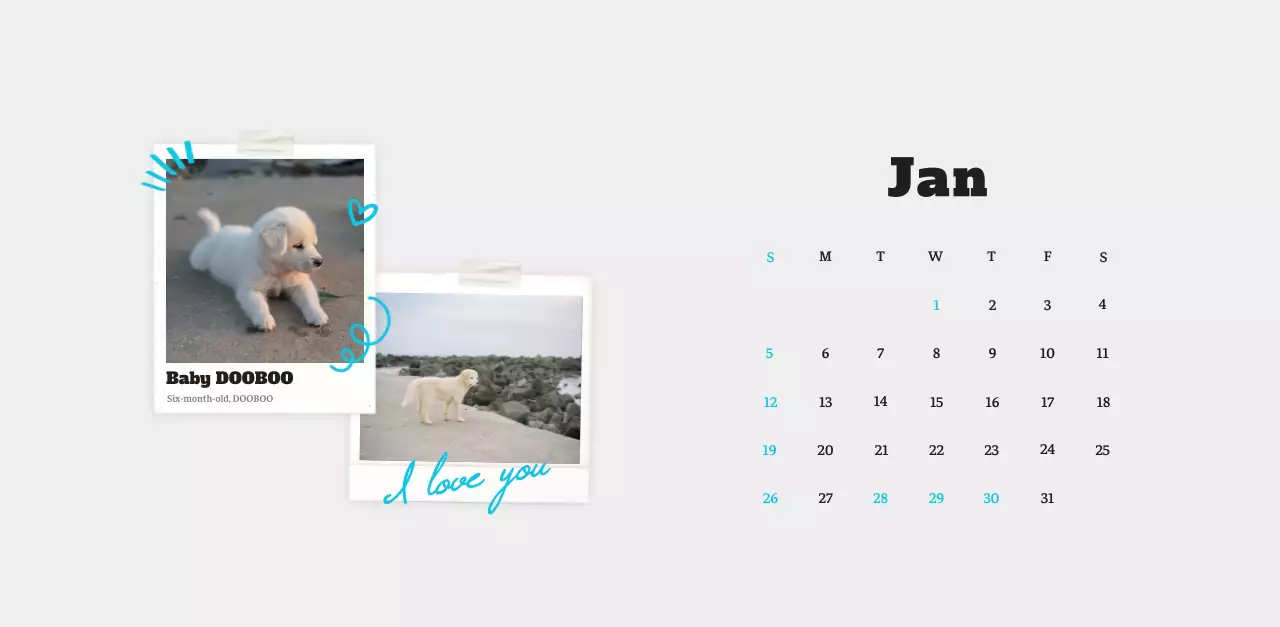 White neat pet photo calendar