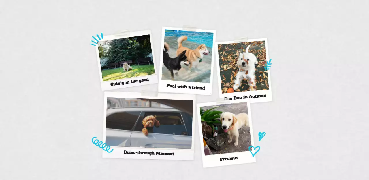 White neat pet photo calendar