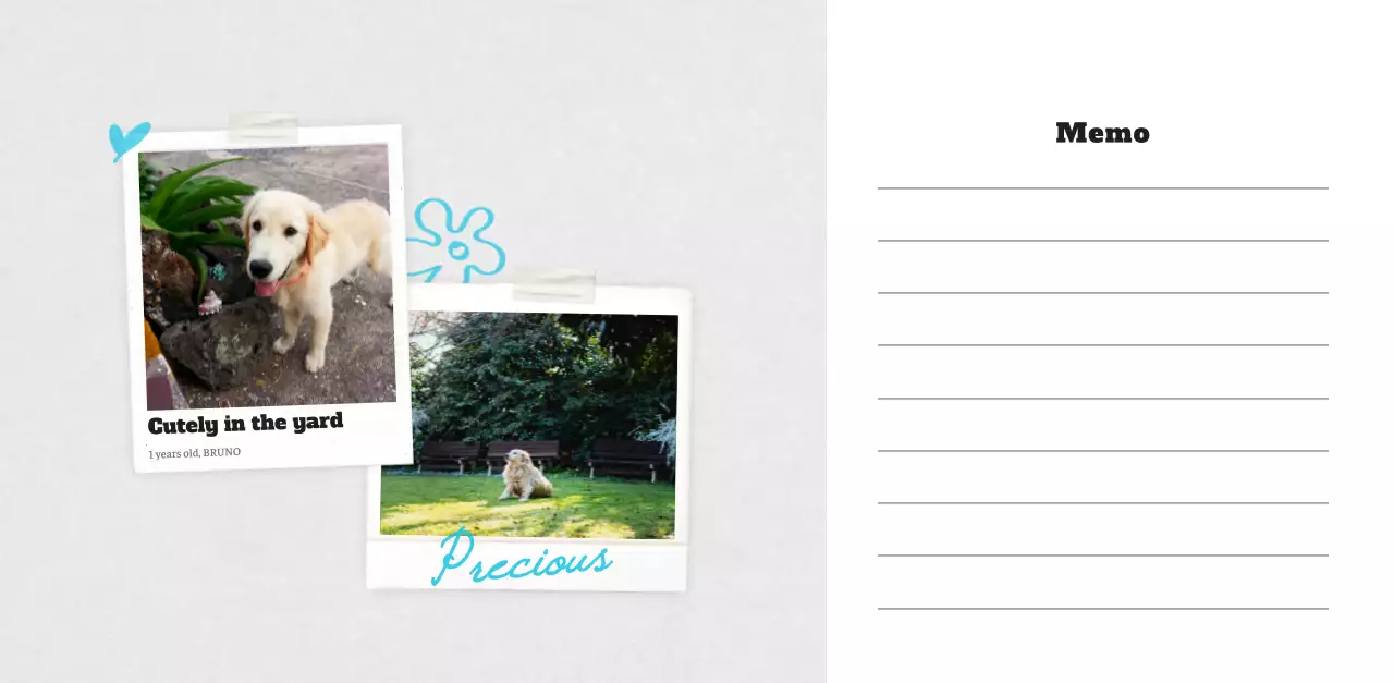 White neat pet photo calendar