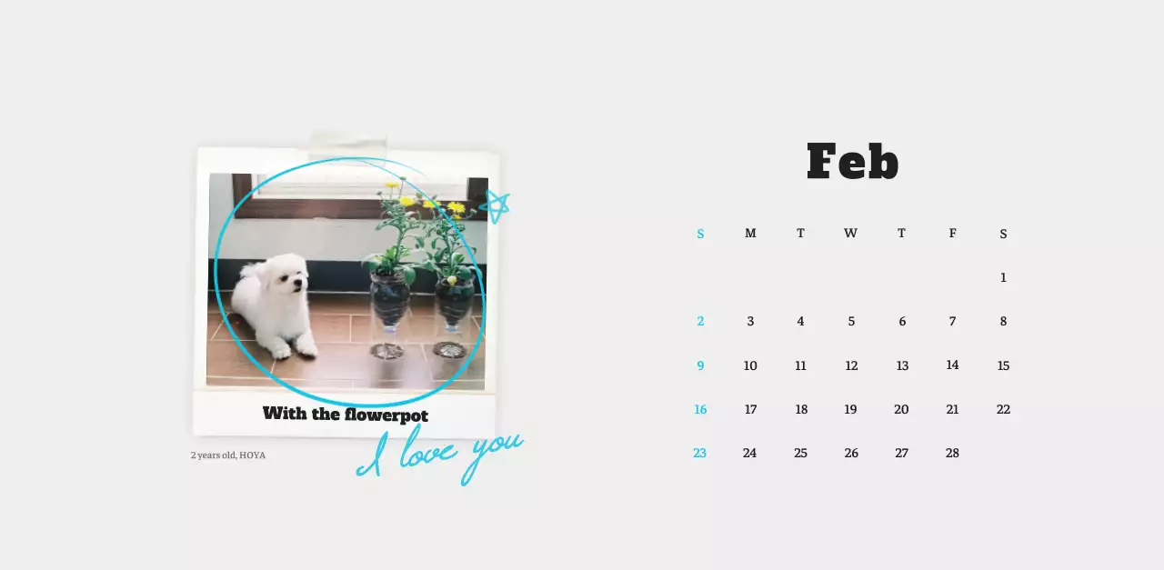 White neat pet photo calendar