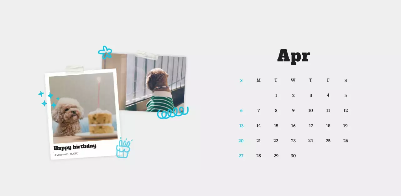 White neat pet photo calendar