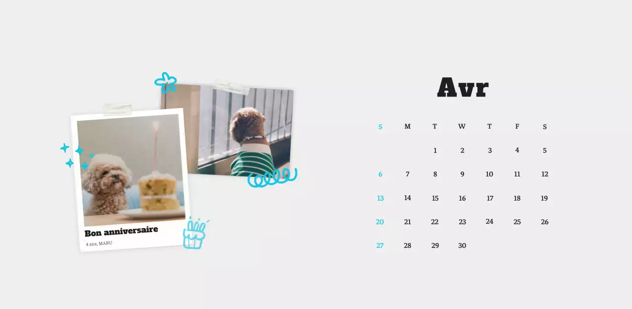 Calendrier photo blanc Neat Ballet Animal