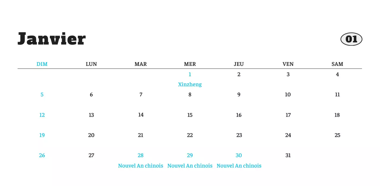 Calendrier photo blanc Neat Ballet Animal