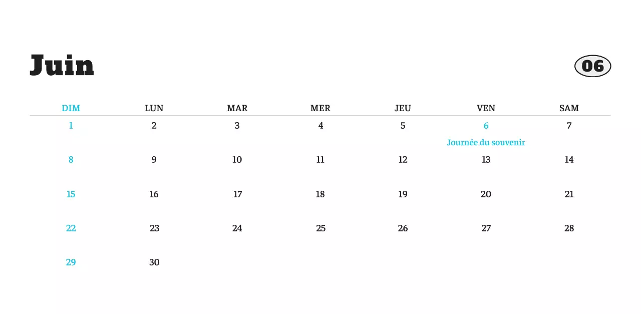 Calendrier photo blanc Neat Ballet Animal