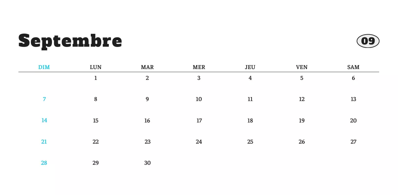 Calendrier photo blanc Neat Ballet Animal