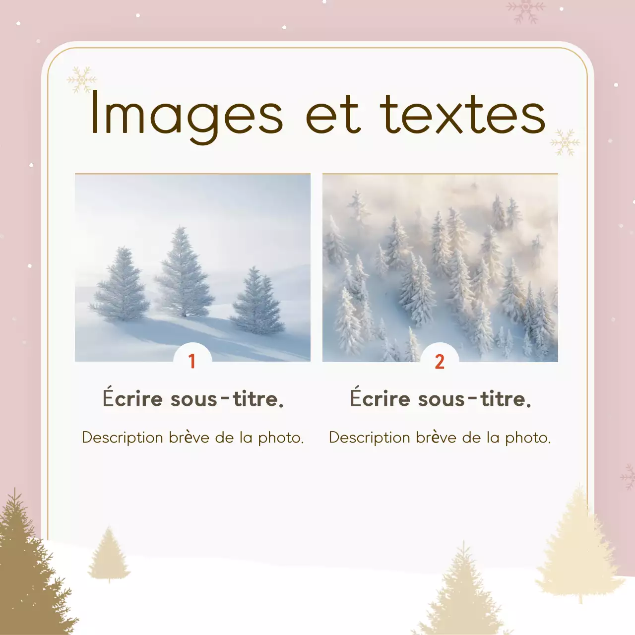 Beige Simple Design Guide