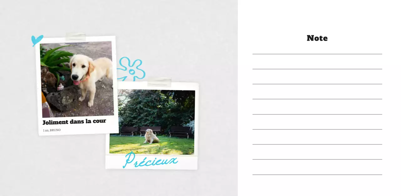 Calendrier photo blanc Neat Ballet Animal