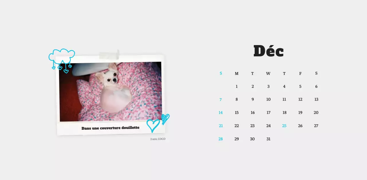 Calendrier photo blanc Neat Ballet Animal