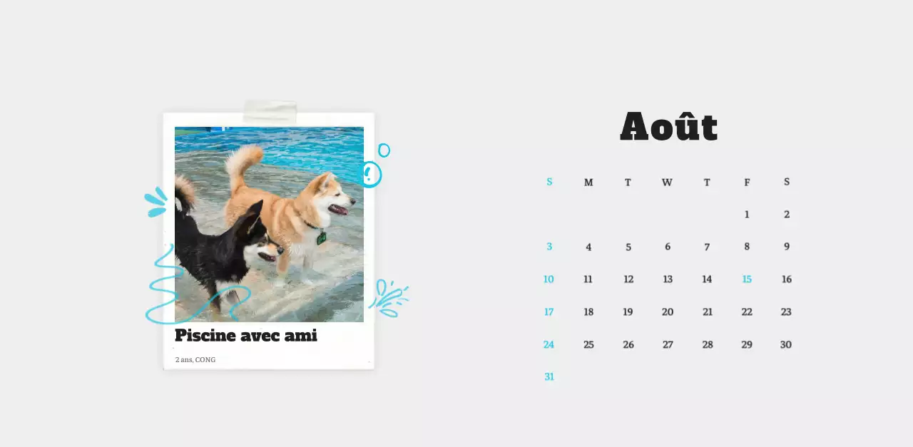 Calendrier photo blanc Neat Ballet Animal