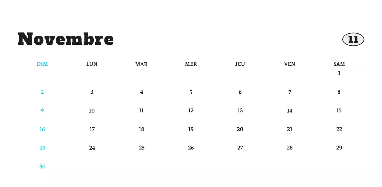 Calendrier photo blanc Neat Ballet Animal