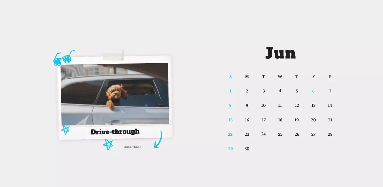 Calendrier photo blanc Neat Ballet Animal