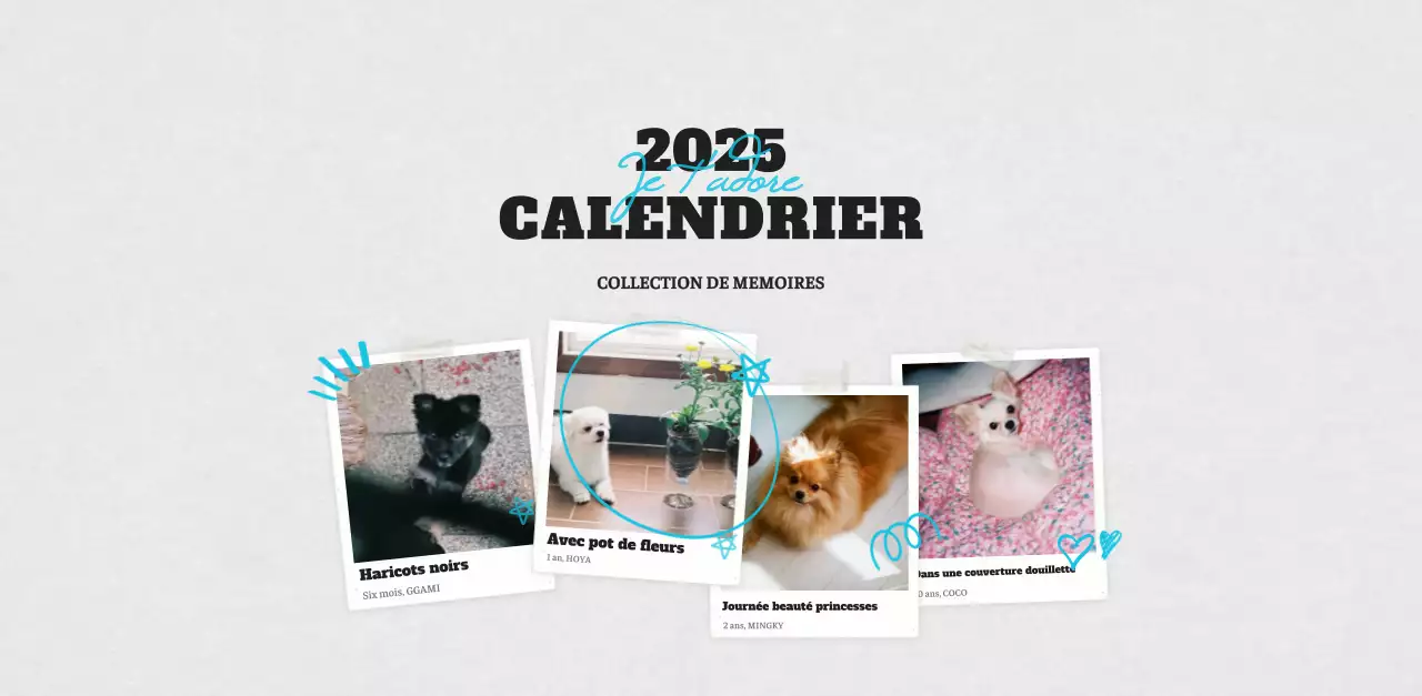 Calendrier photo blanc Neat Ballet Animal