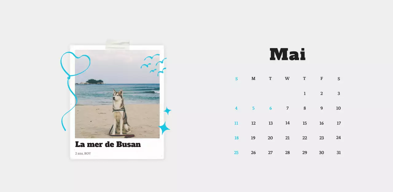 Calendrier photo blanc Neat Ballet Animal