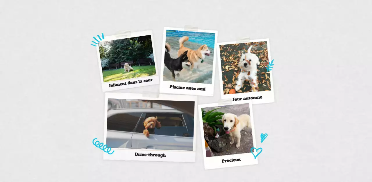 Calendrier photo blanc Neat Ballet Animal