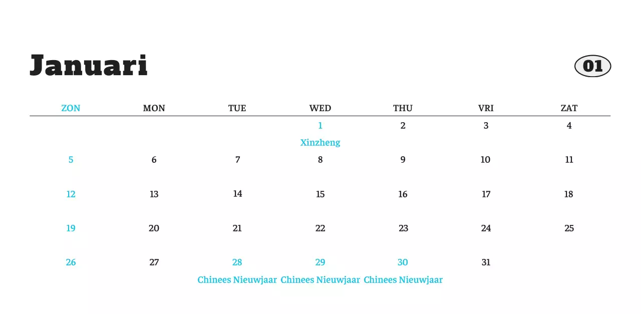 Witte Nette Ballet Dierenfotokalender