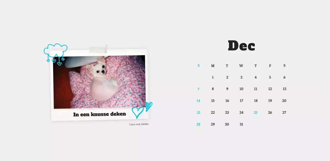Witte Nette Ballet Dierenfotokalender