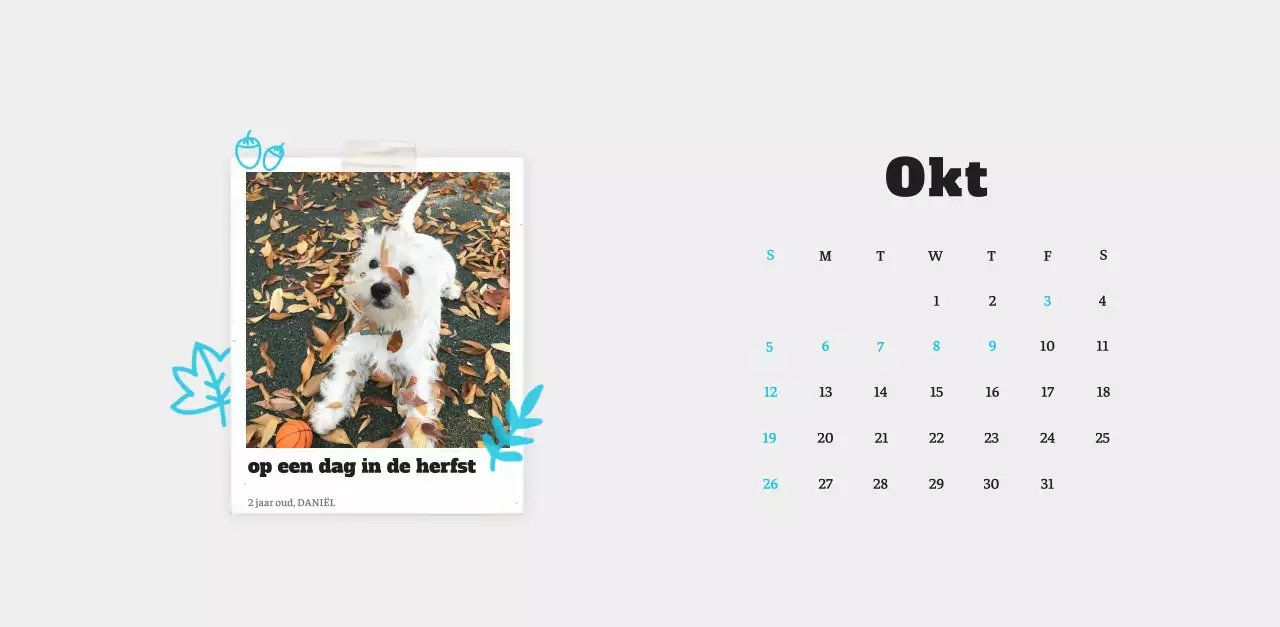 Witte Nette Ballet Dierenfotokalender